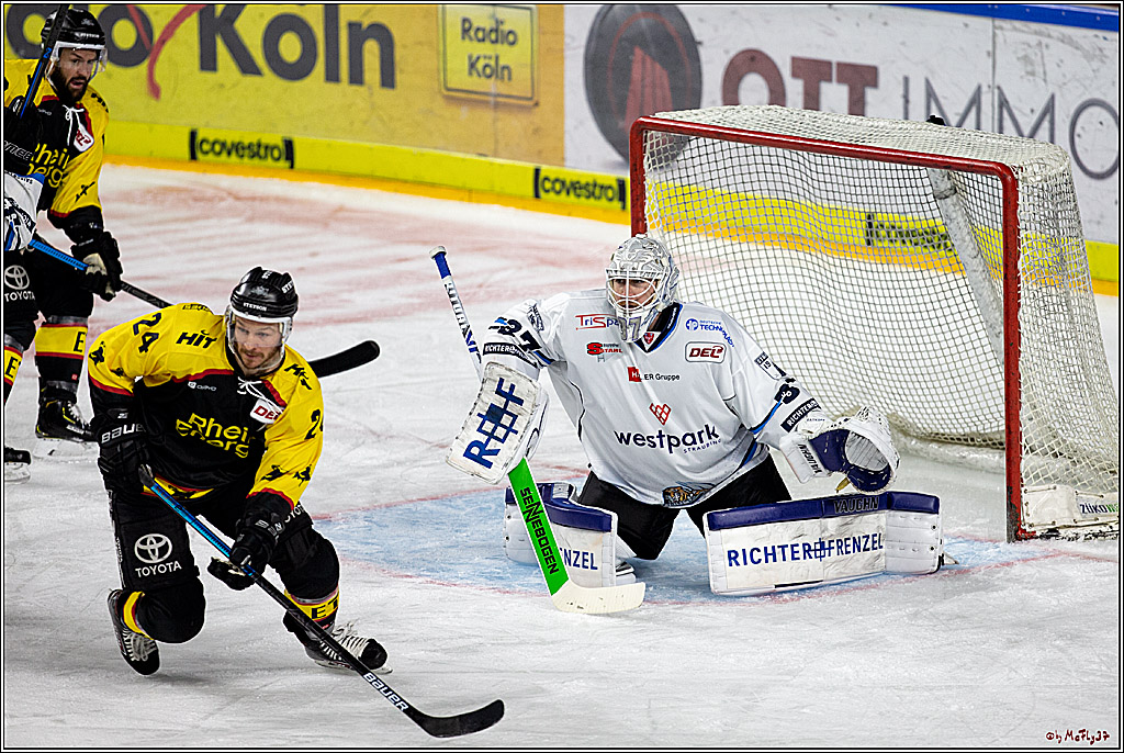 DEL;  Koelner Haie - Straubing Tigers; Koeln, 01.03.2020
